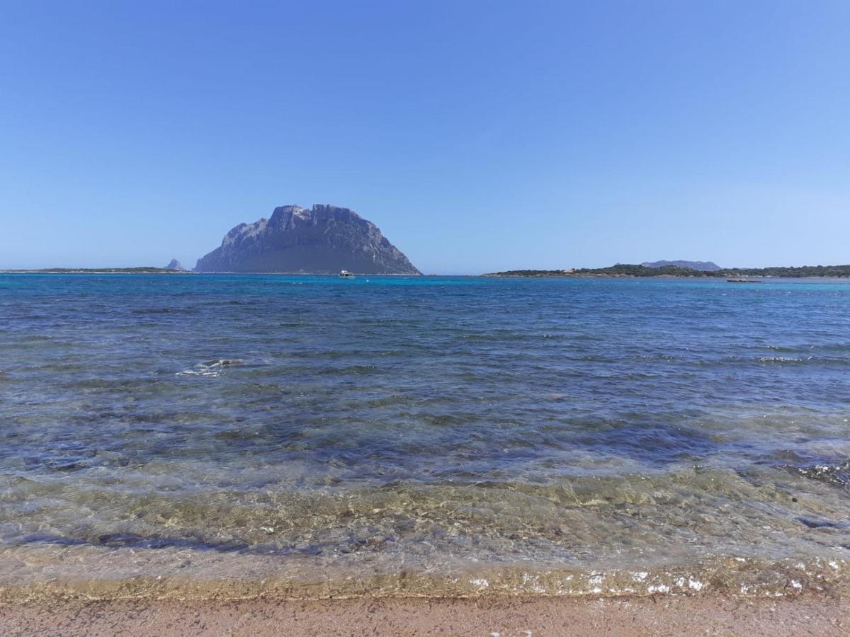 Siisa Appartamento La Muddizza Valledoria A 500 Mt Dal Mare Exterior foto