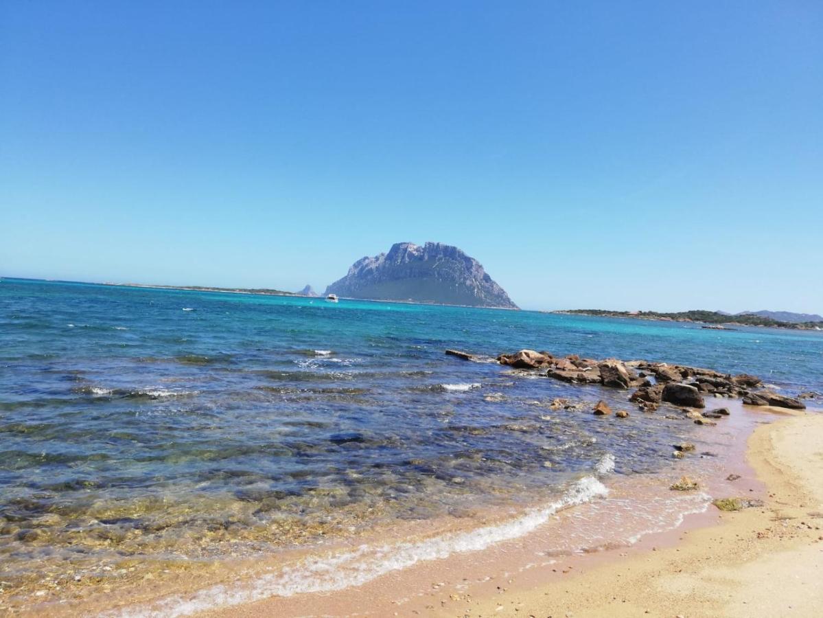 Siisa Appartamento La Muddizza Valledoria A 500 Mt Dal Mare Exterior foto